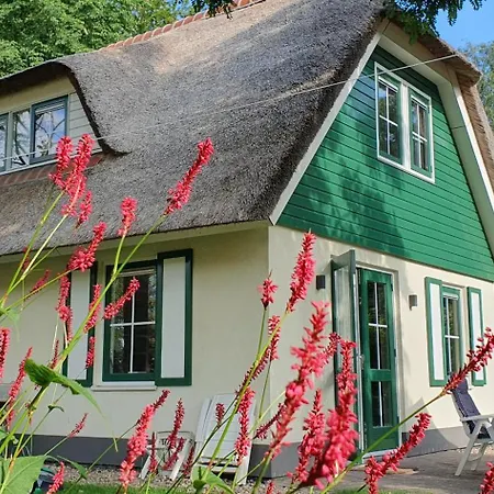 Salland Vakantie Heeten Exterior foto