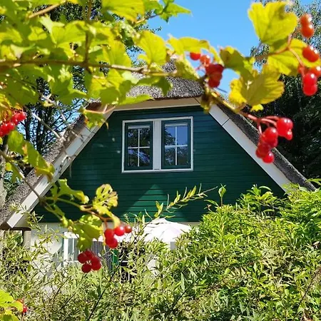 Salland Vakantie Heeten Exterior foto