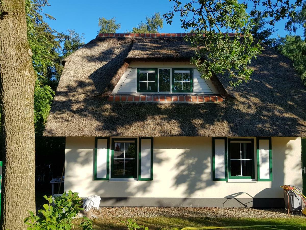 Salland Holiday home *